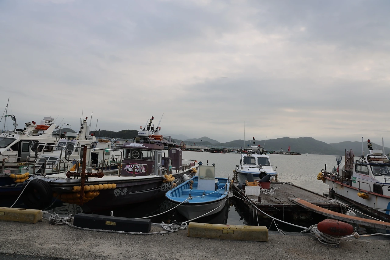 0R5A7756_новый размер.JPG