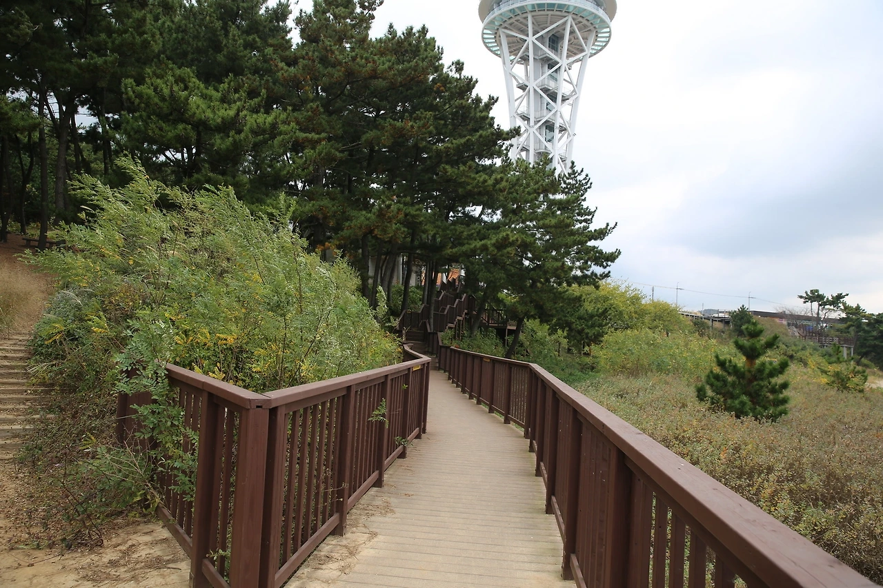 MG0A9350_новый размер.JPG