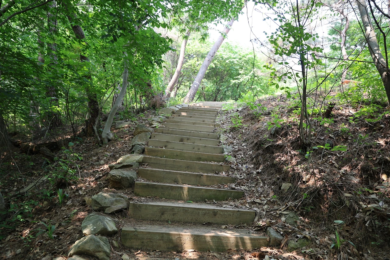 0R5A3226_новый размер.JPG