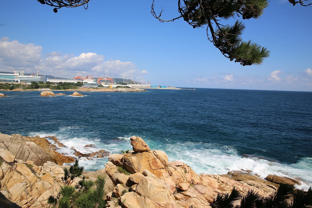 MG0A3901_новый размер.JPG