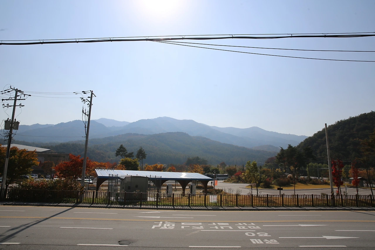 MG0A8198_новый размер.JPG