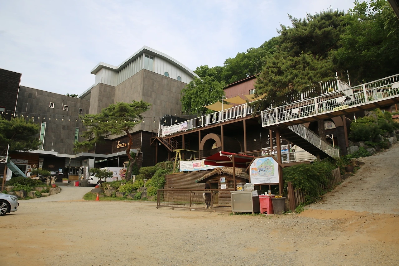 MG0A1043_новый размер.JPG