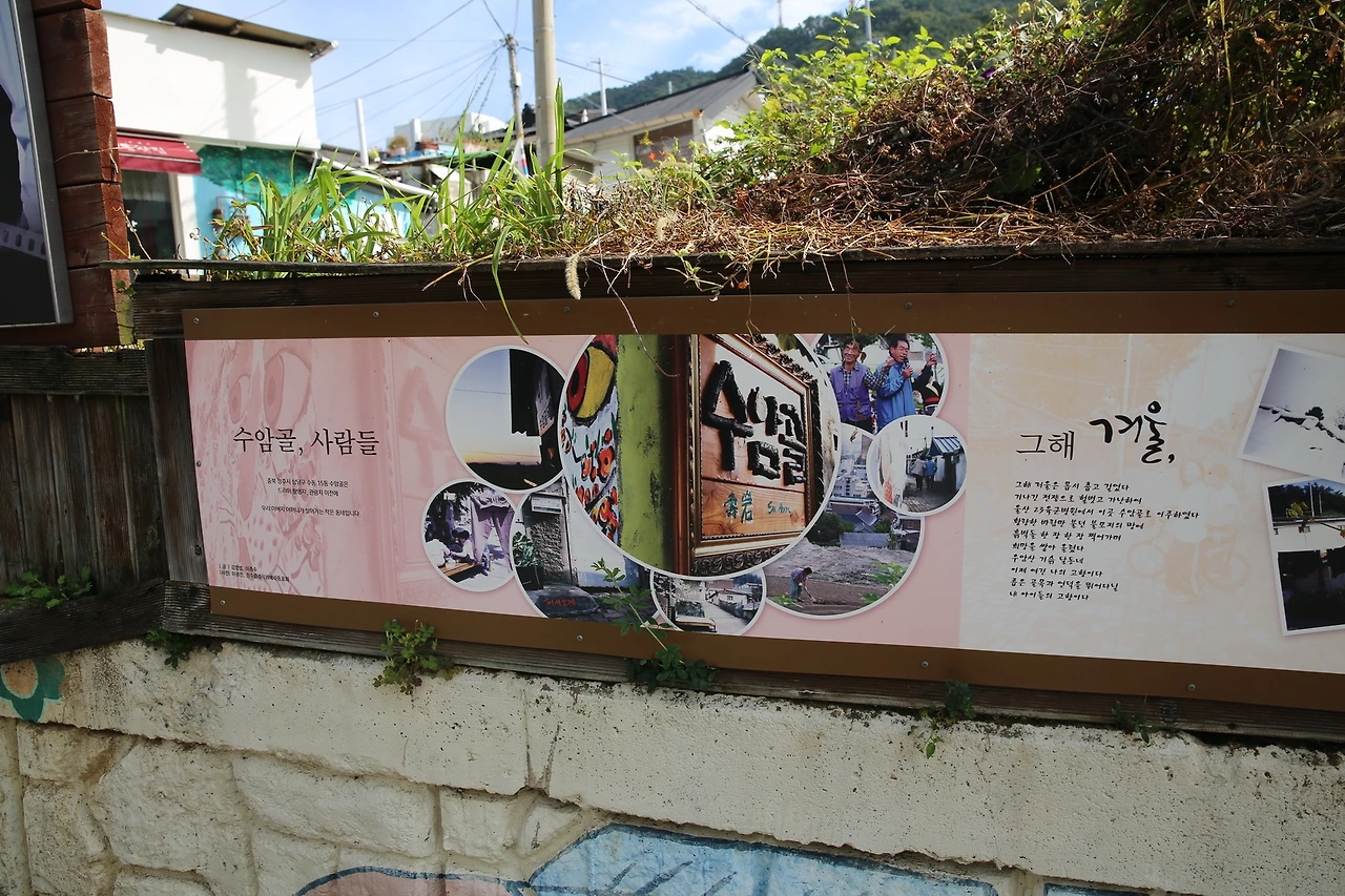 MG0A5440_новый размер.JPG