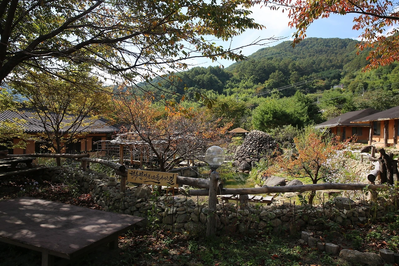 MG0A5712_новый размер.JPG