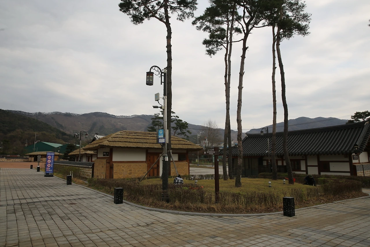 MG0A8253_новый размер.JPG