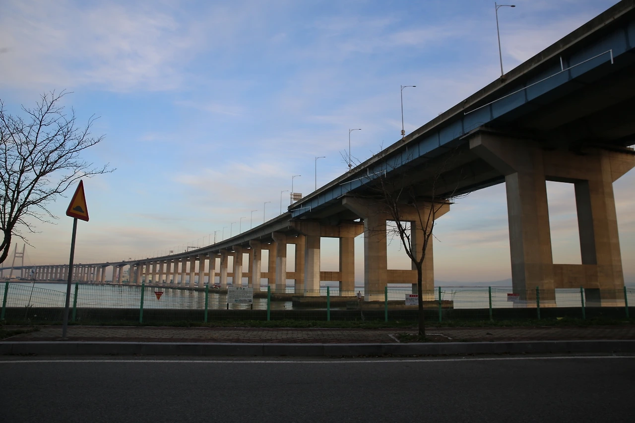 MG0A0385_новый размер.JPG