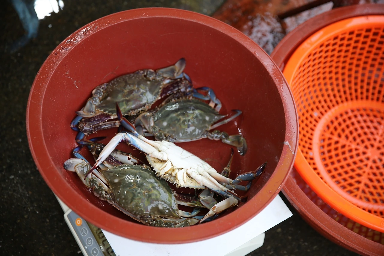 MG0A2523_новый размер.JPG