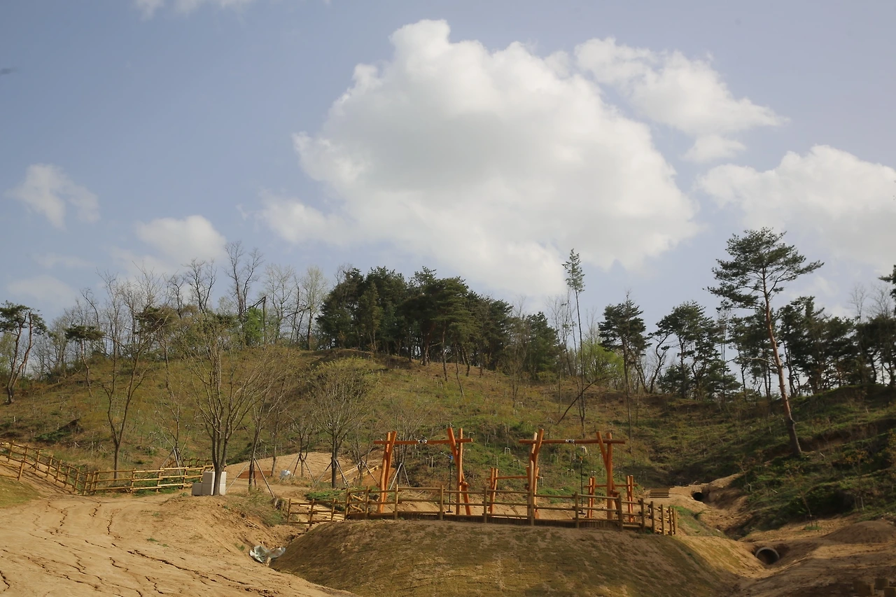 MG0A9924_новый размер.JPG