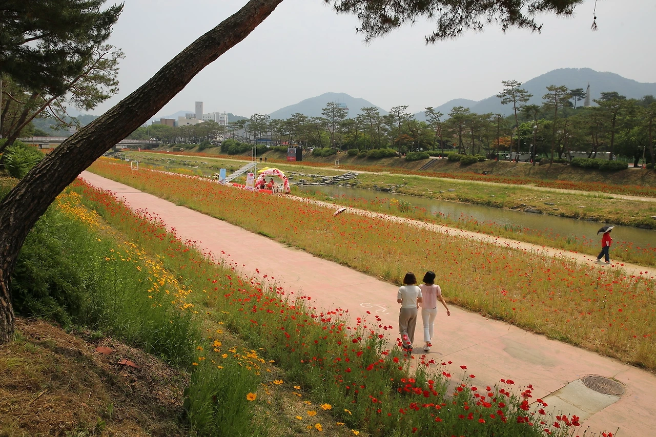 MG0A4293_новый размер.JPG