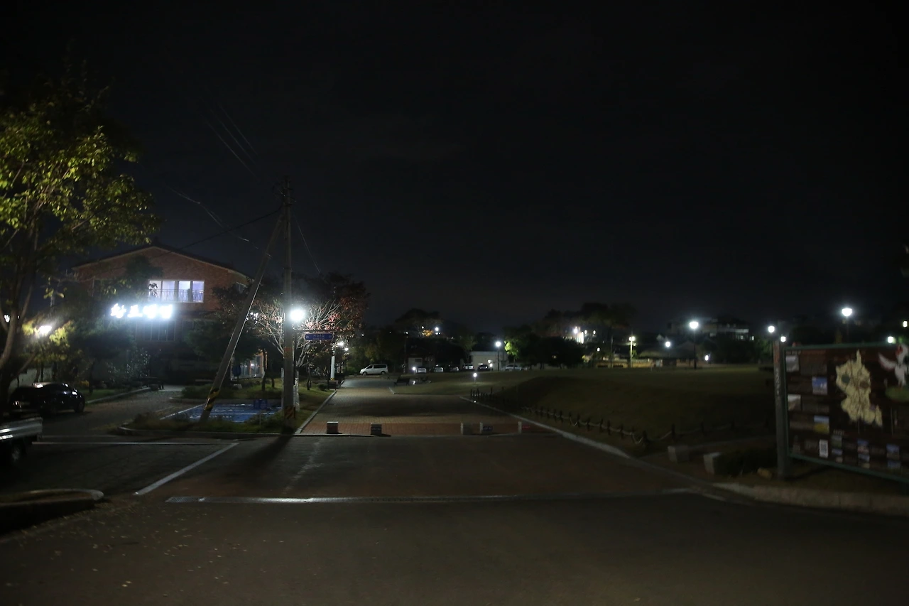 MG0A0335_новый размер.JPG