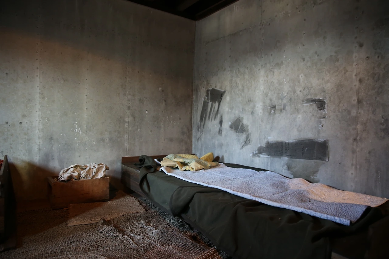 MG0A3564_новый размер.JPG