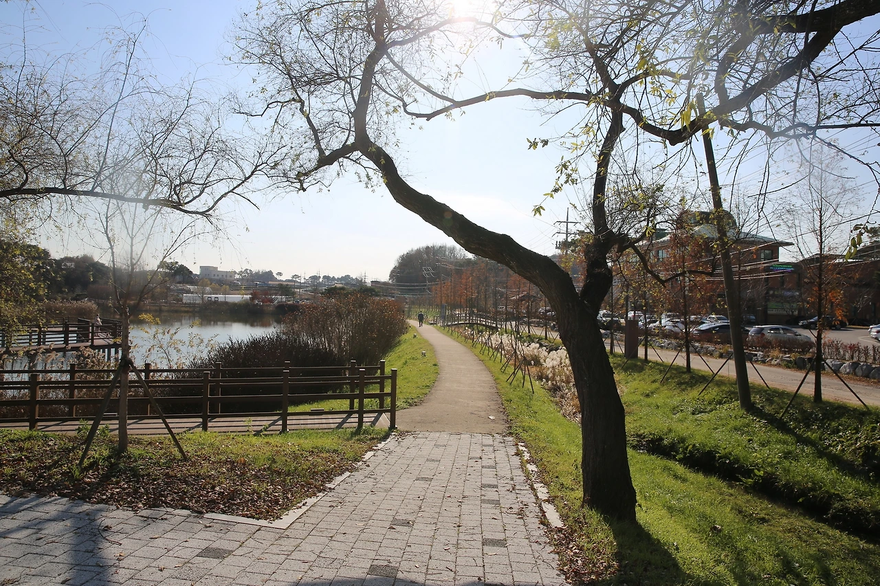 MG0A2701_новый размер.JPG