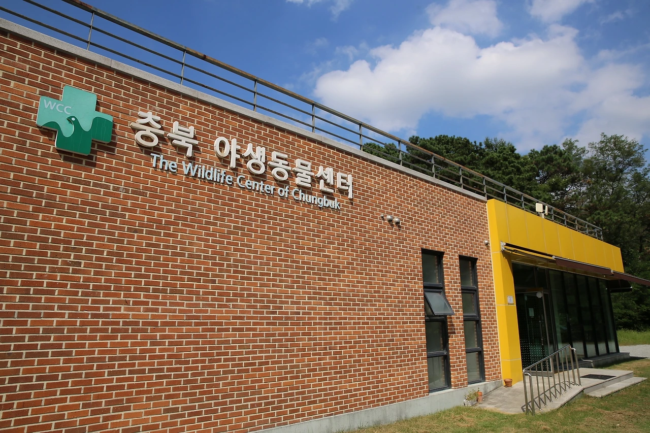 MG0A0028_новый размер.JPG