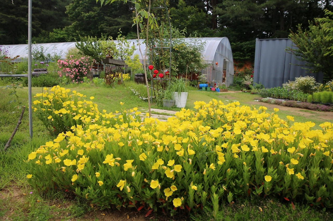 MG0A6957_новый размер.JPG