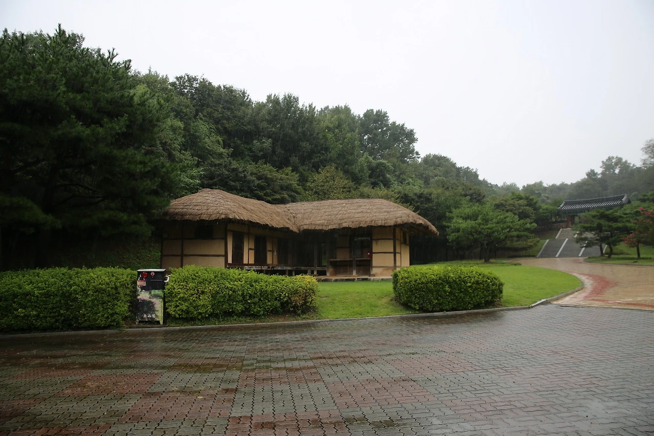 MG0A1736_новый размер.JPG