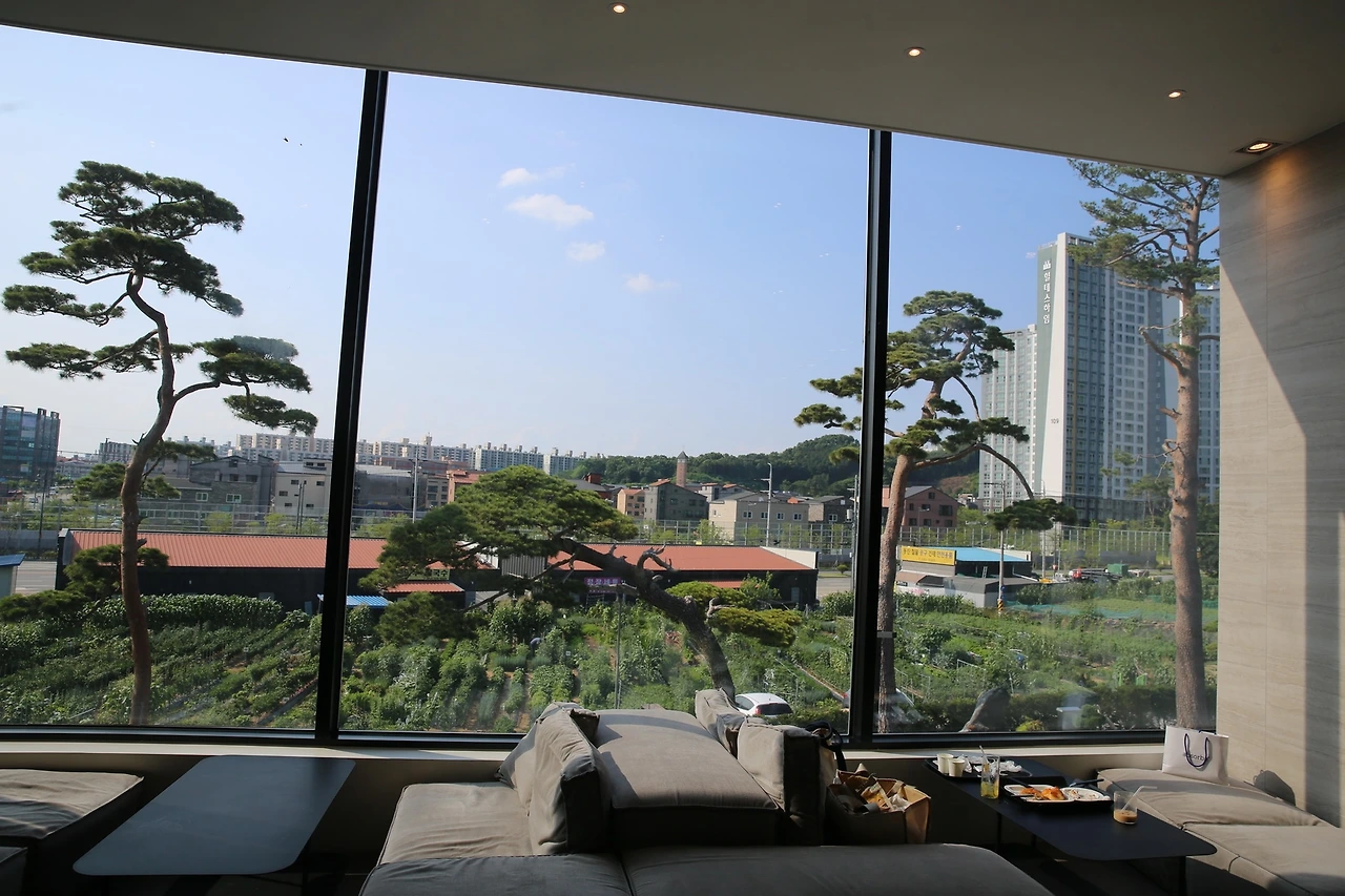 MG0A3135_новый размер.JPG