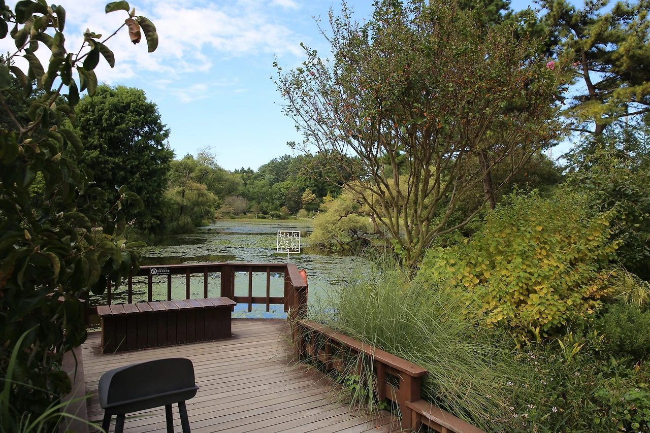 MG0A1378_новый размер.JPG