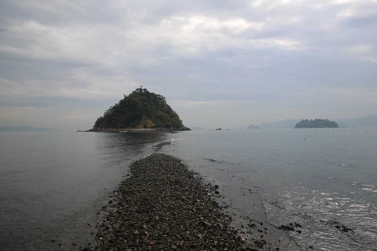 MG0A0561_новый размер.JPG