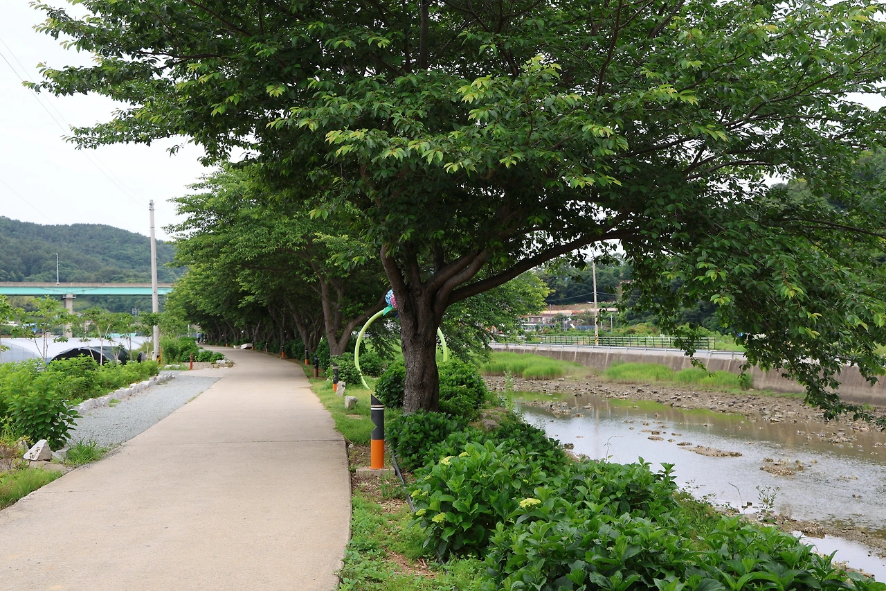 0R5A4325_новый размер.JPG