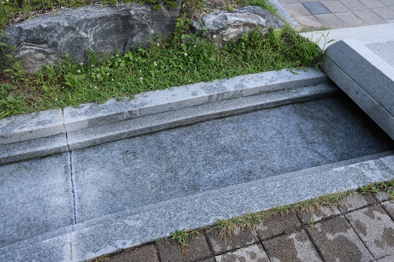 0R5A9881_новый размер.JPG