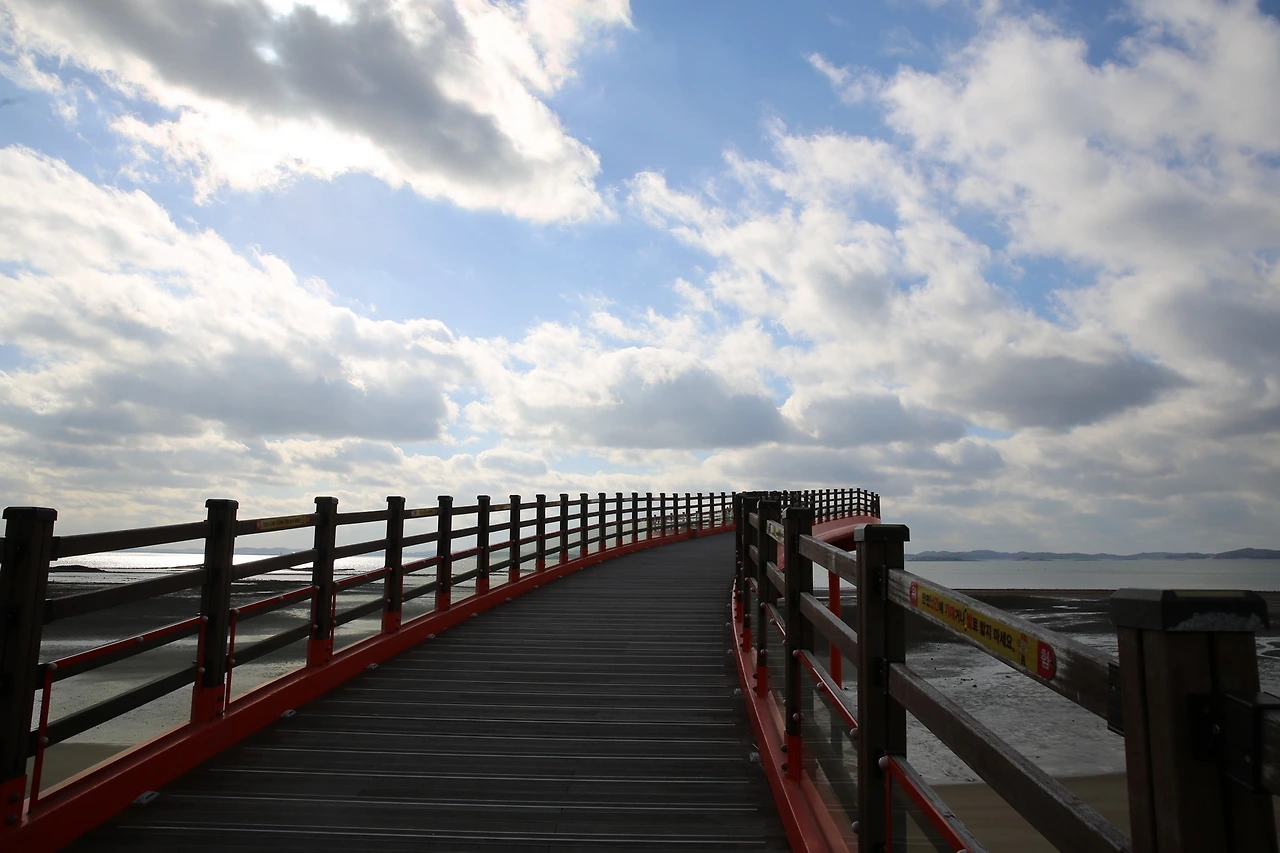 MG0A3136_новый размер.JPG