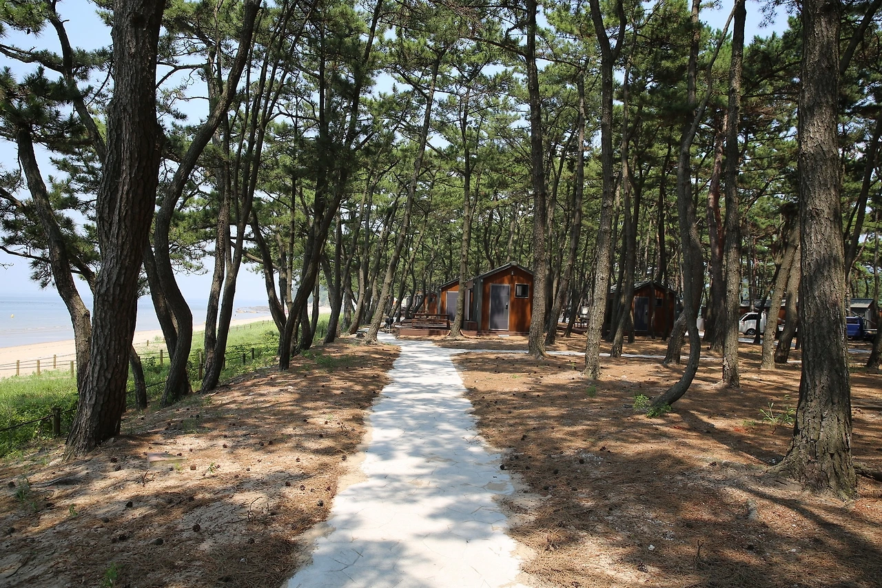 MG0A5731_новый размер.JPG