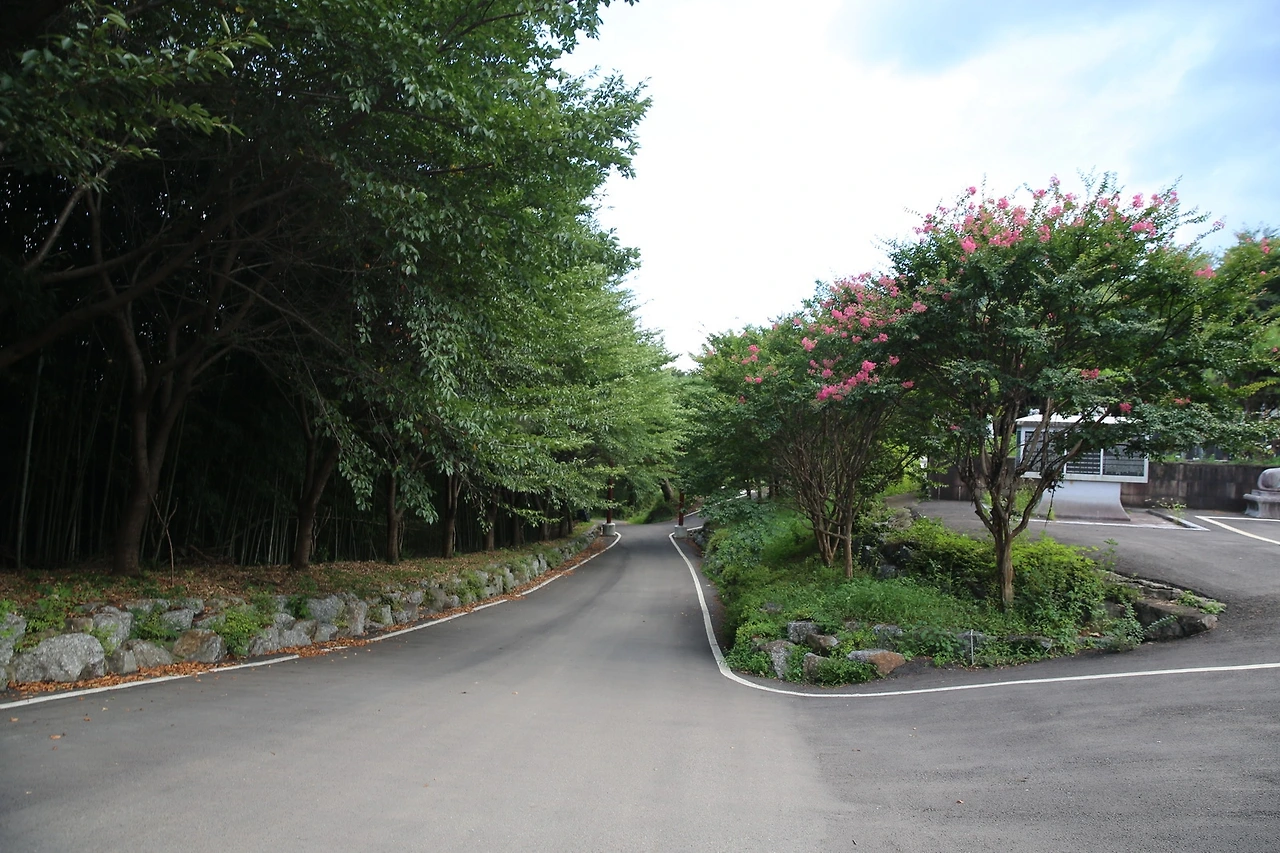 MG0A8120_новый размер.JPG