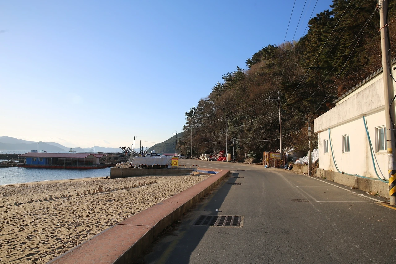 MG0A4536_новый размер.JPG