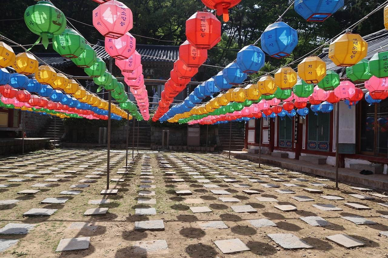 0R5A8355_новый размер.JPG