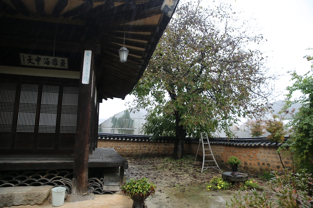 MG0A6000_новый размер.JPG