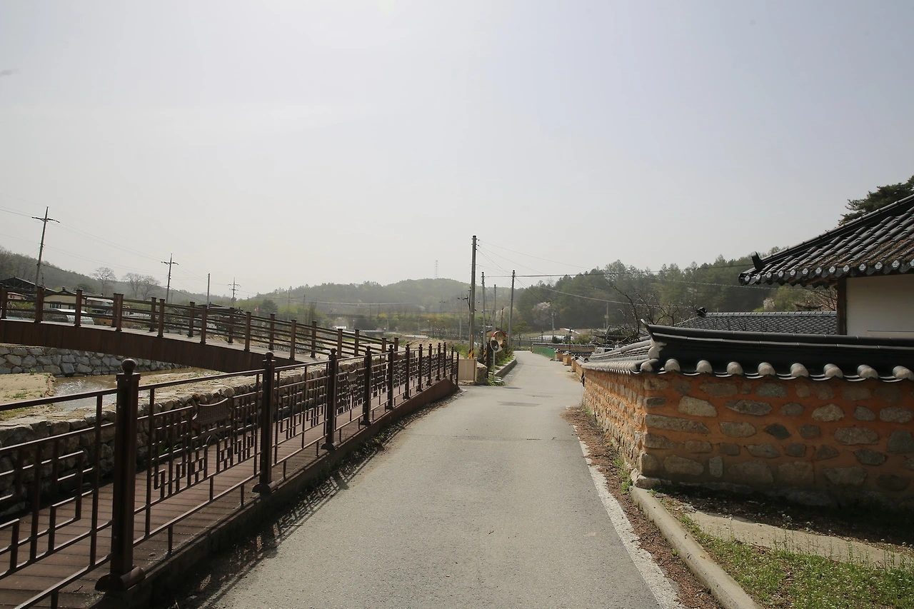 MG0A0115_новый размер.JPG