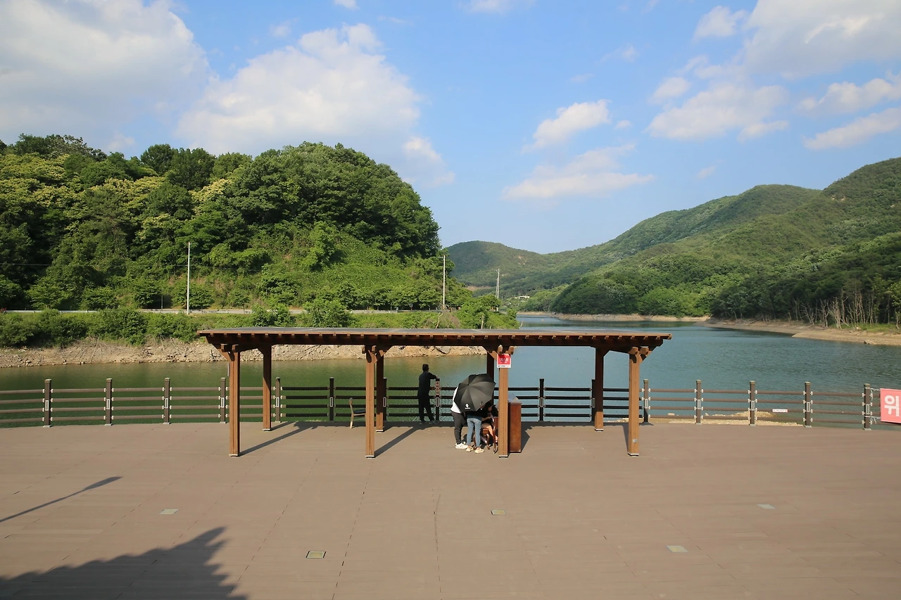 MG0A1627_новый размер.JPG