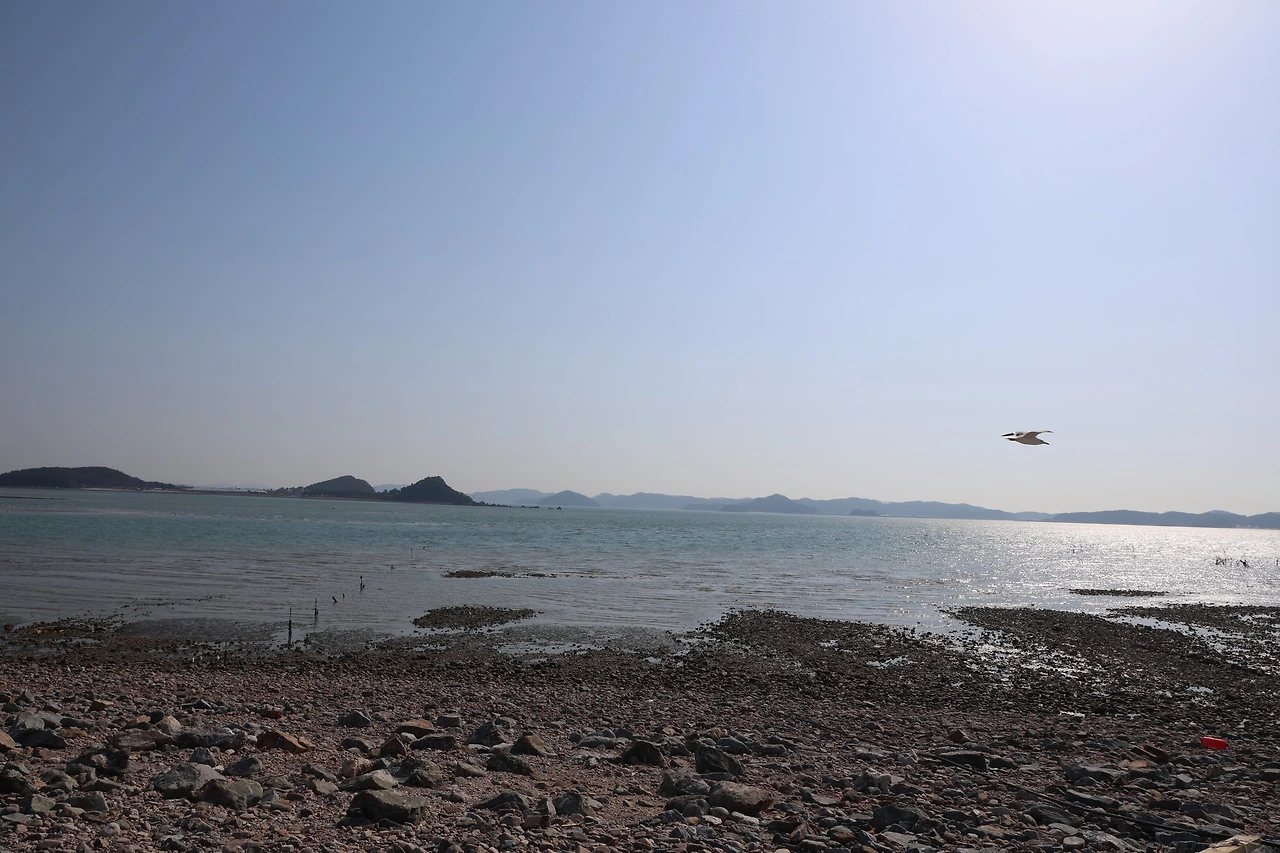 0R5A6039_новый размер.JPG