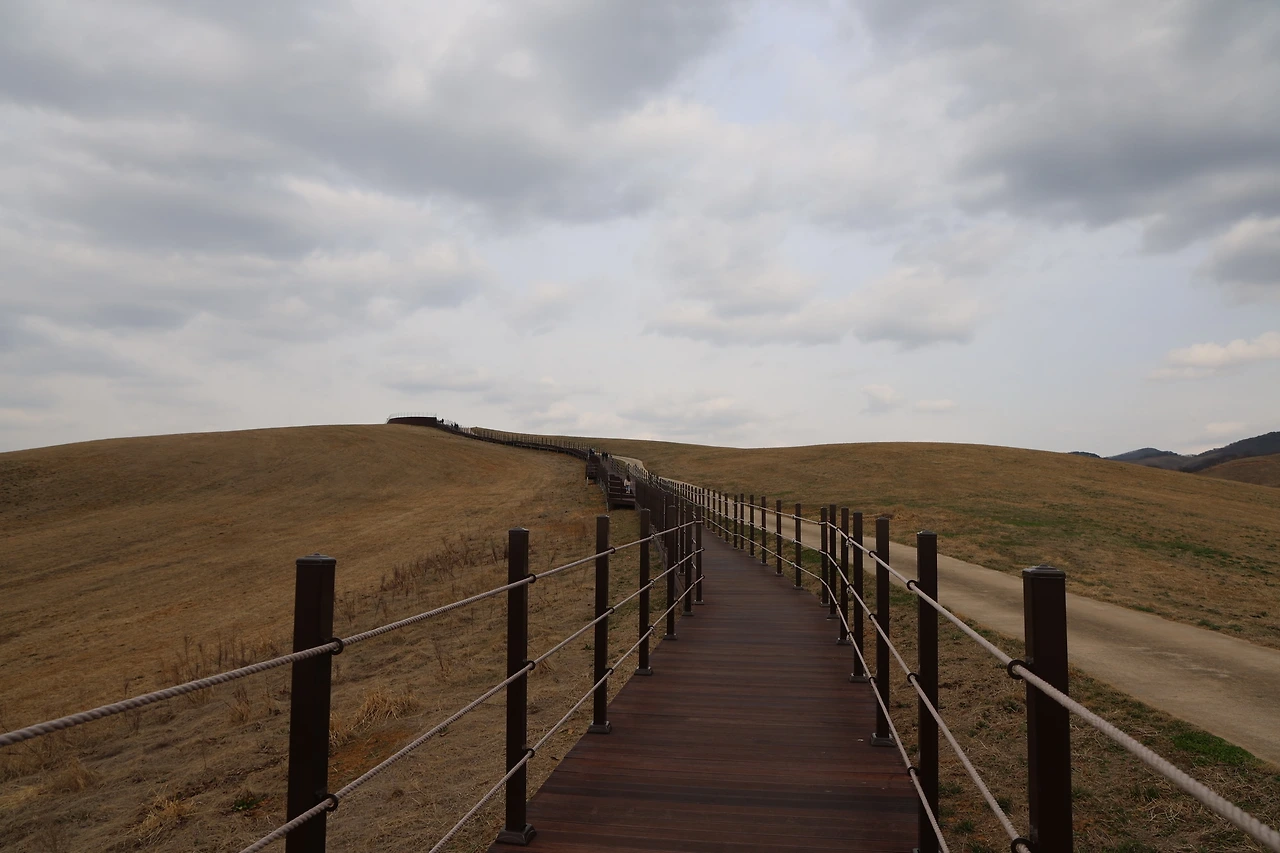 0R5A2813_новый размер.JPG