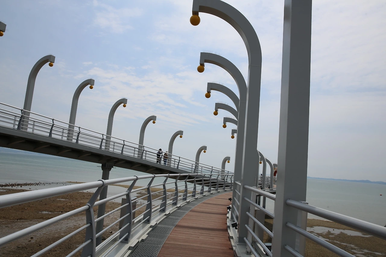 MG0A6225_новый размер.JPG