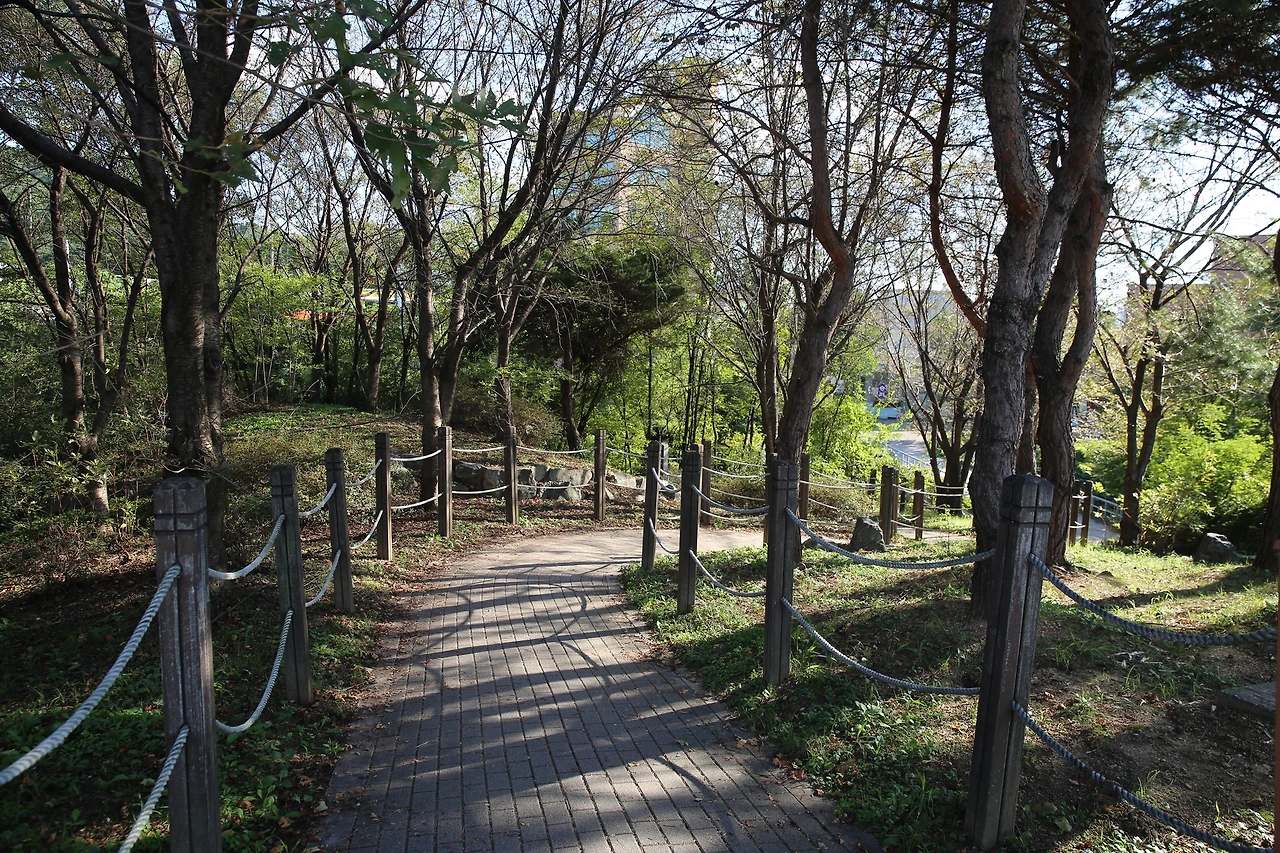 MG0A1979_новый размер.JPG