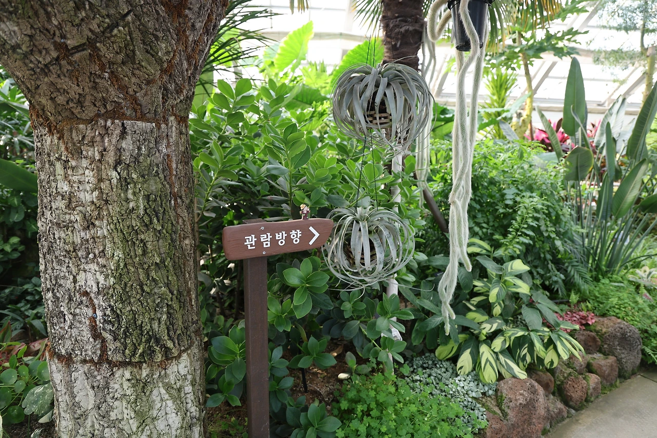 0R5A5008_новый размер.JPG