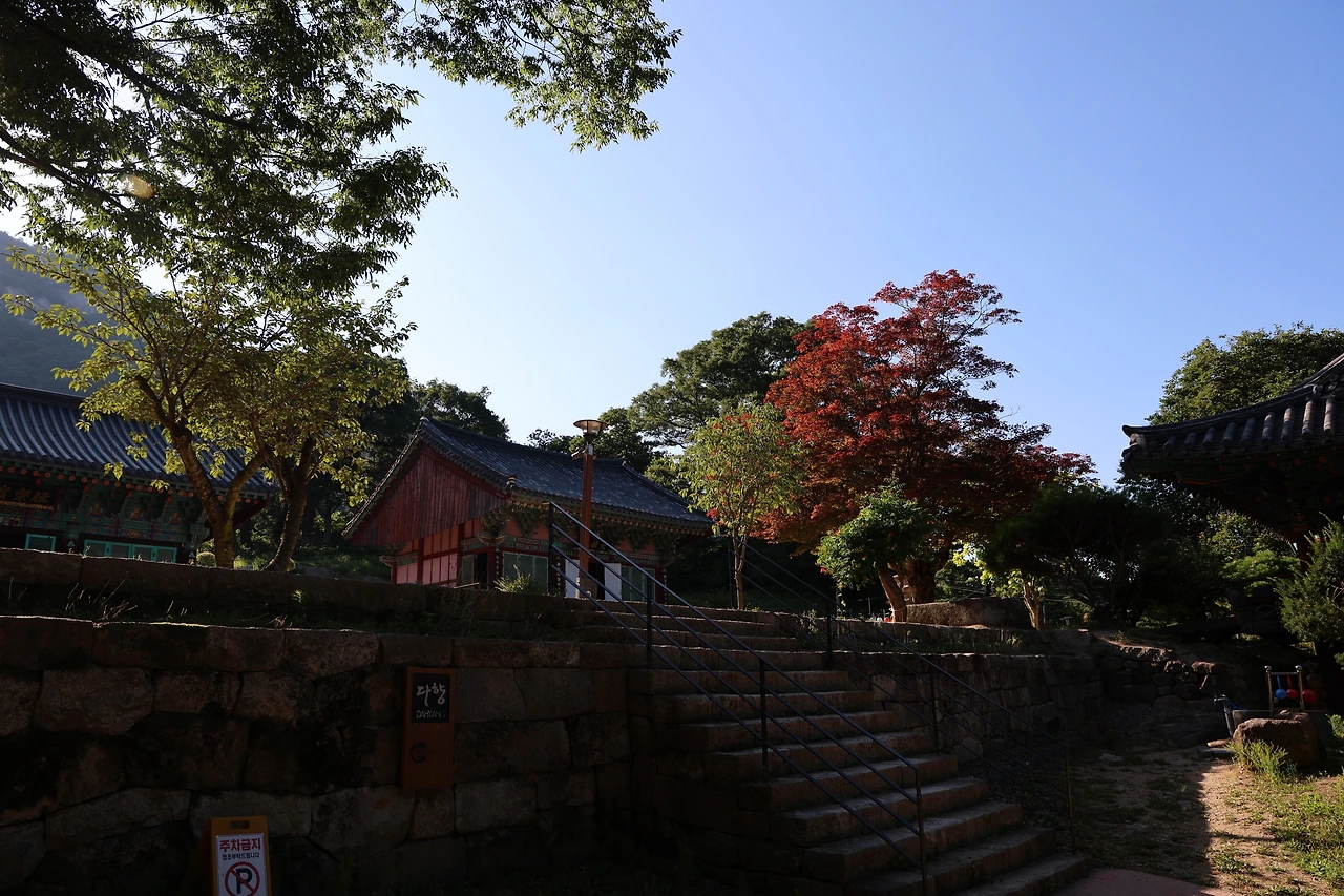 0R5A8071_новый размер.JPG