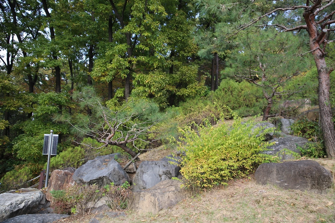 MG0A7635_новый размер.JPG