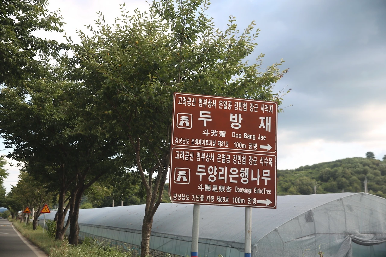 MG0A8112_новый размер.JPG