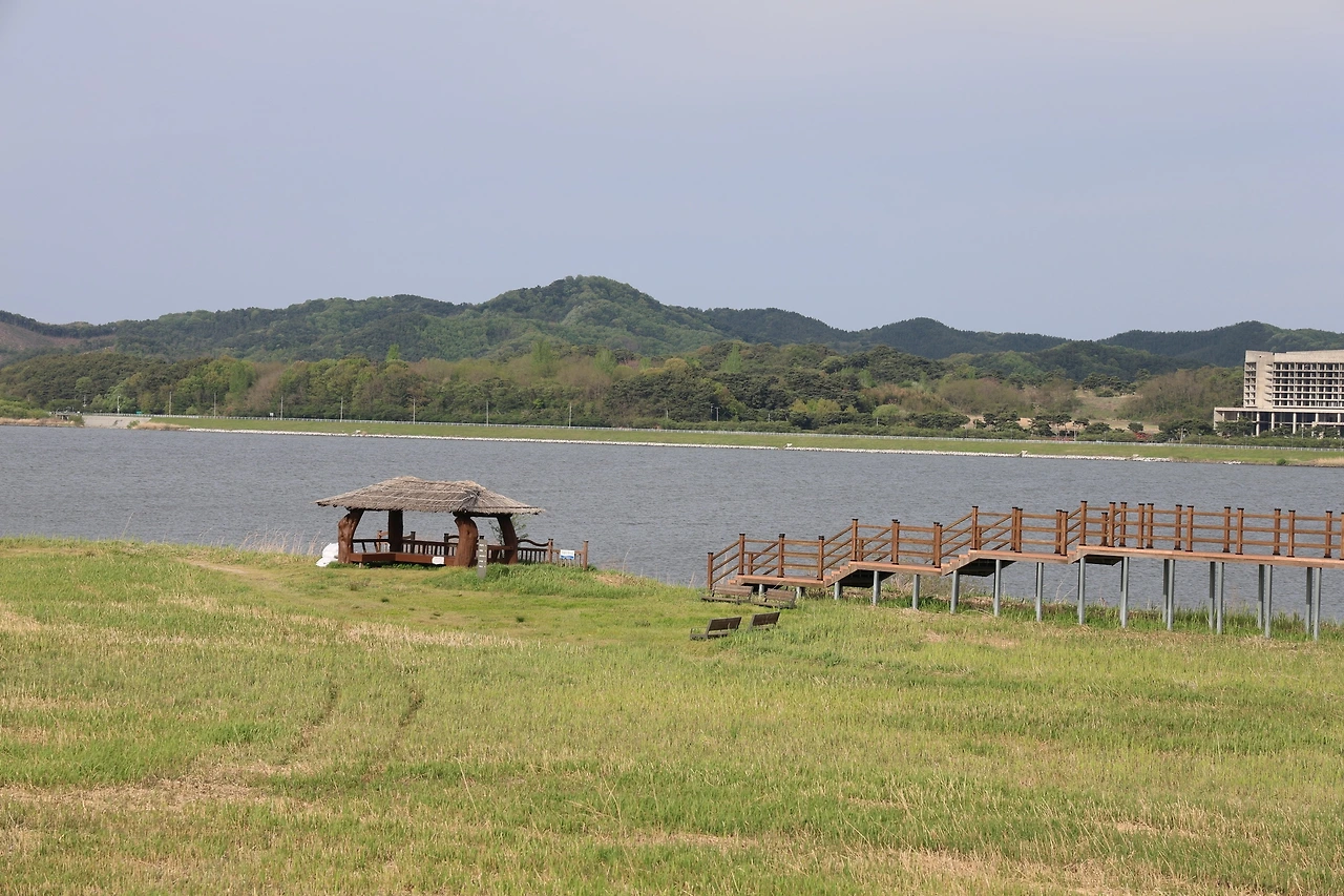 0R5A8483_новый размер.JPG