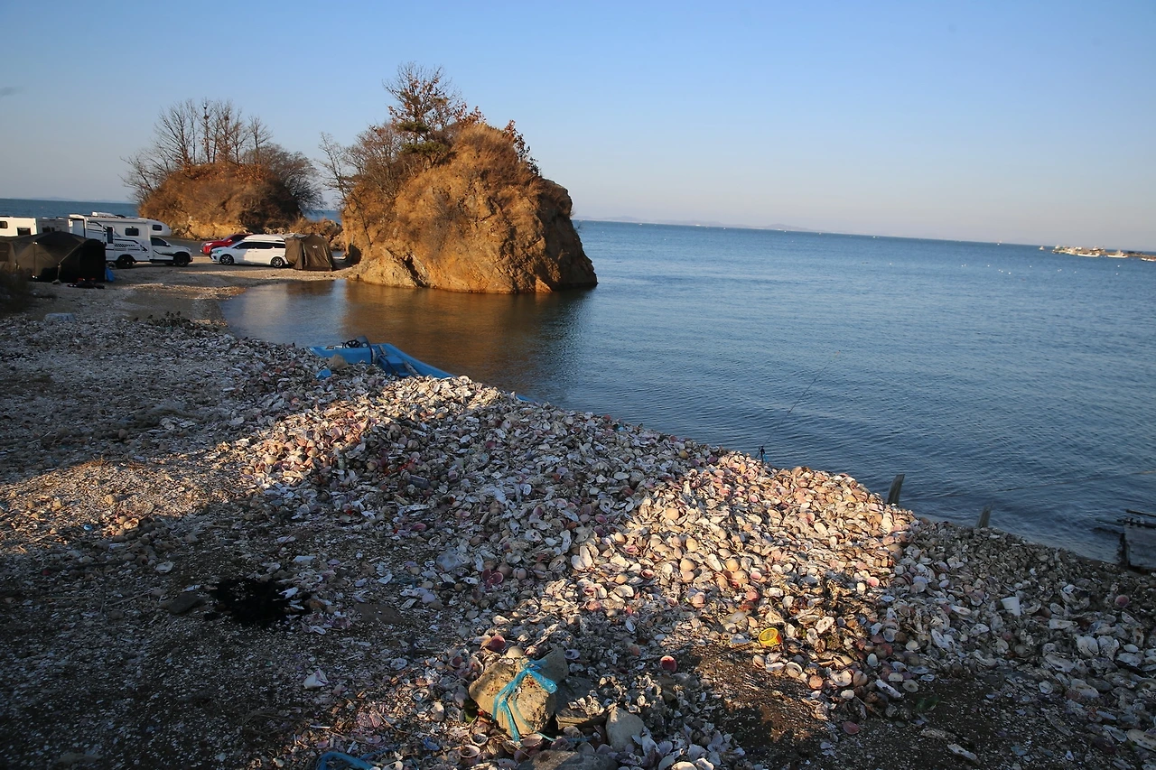 MG0A9594_новый размер.JPG