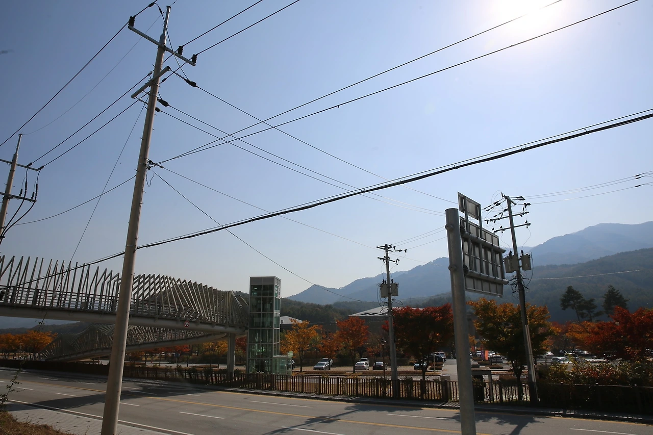 MG0A8200_новый размер.JPG