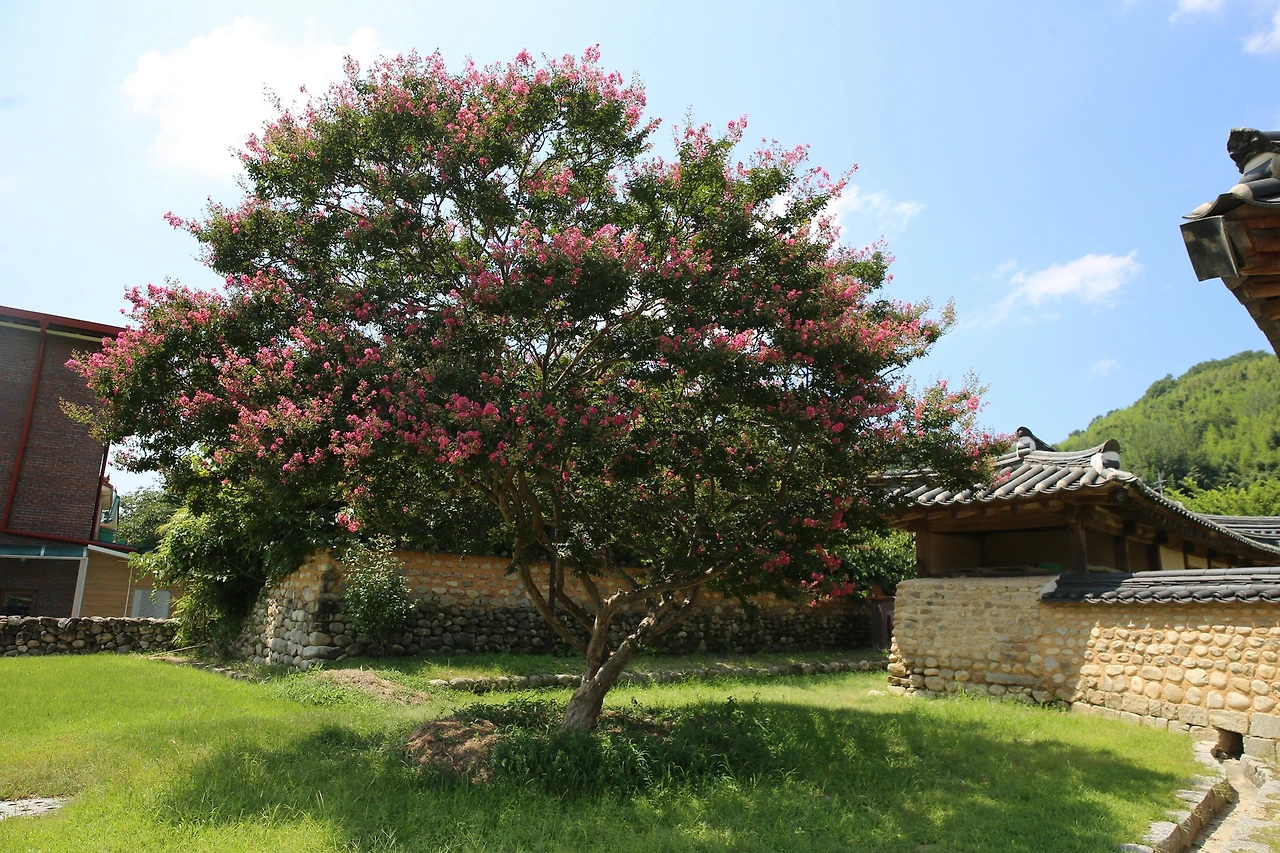 MG0A7309_новый размер.JPG