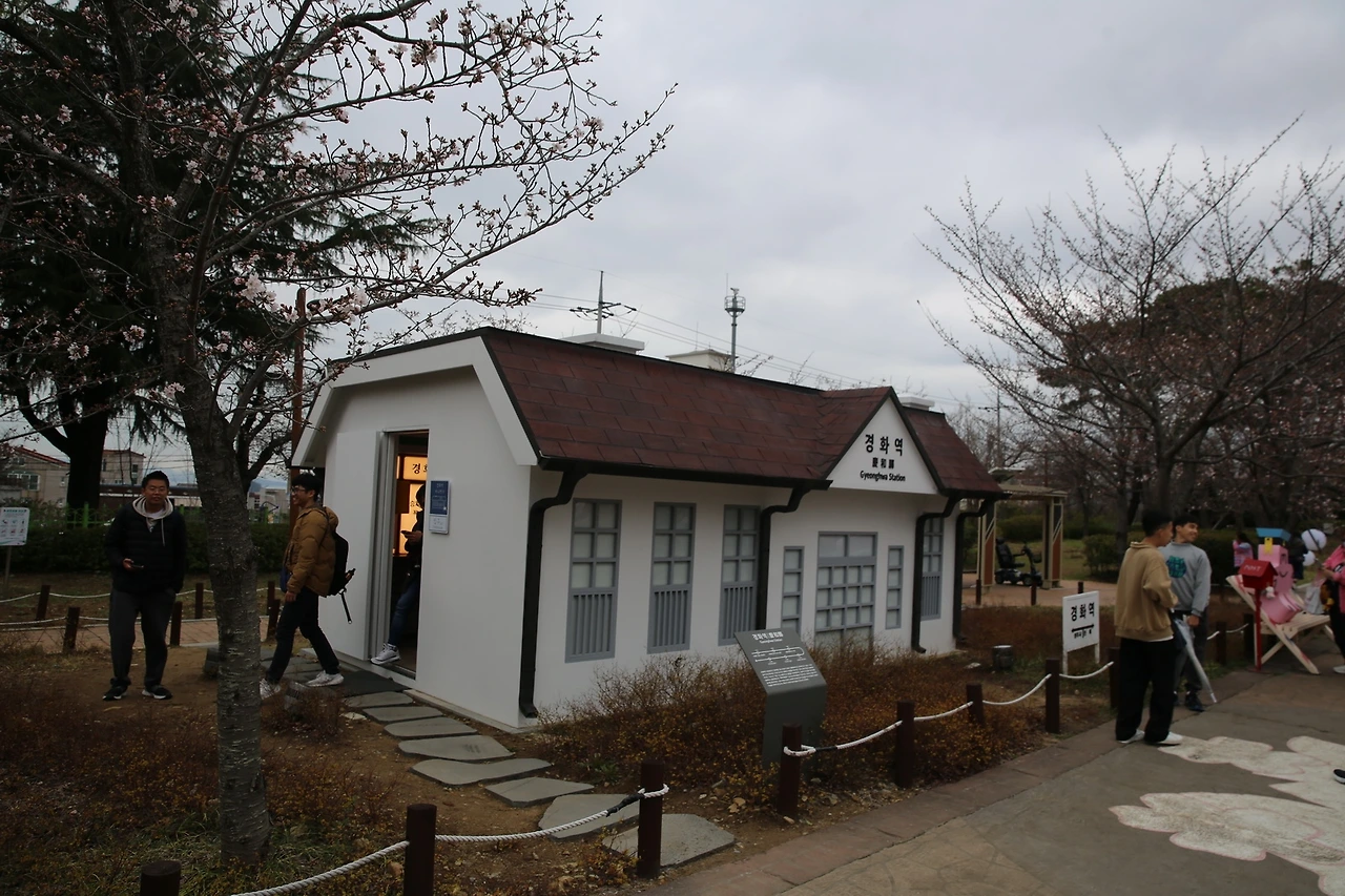 MG0A6236_новый размер.JPG