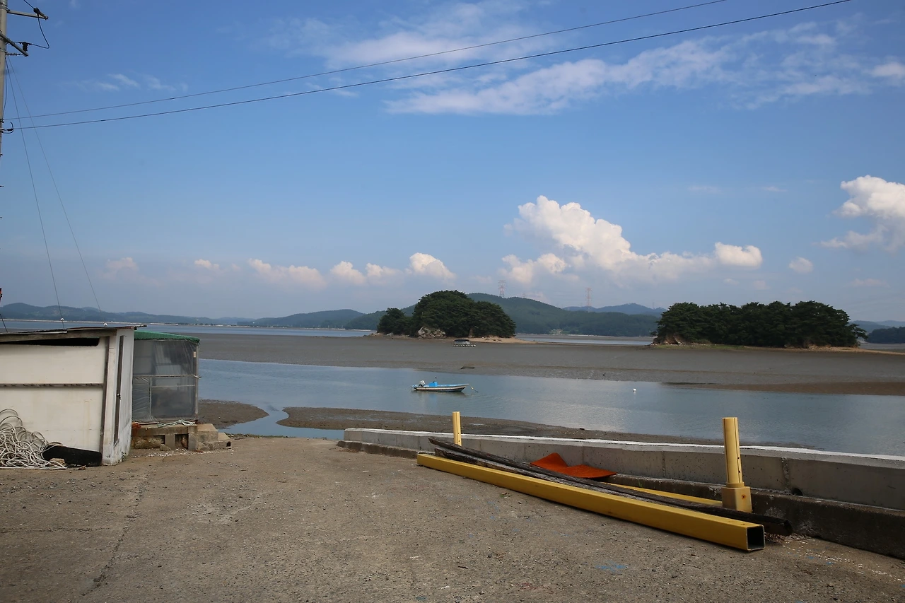 MG0A7025_новый размер.JPG