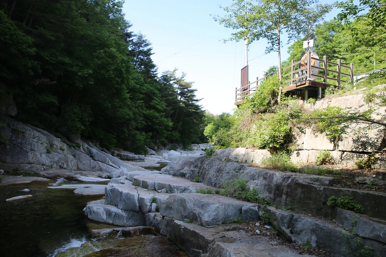 MG0A9479_новый размер.JPG