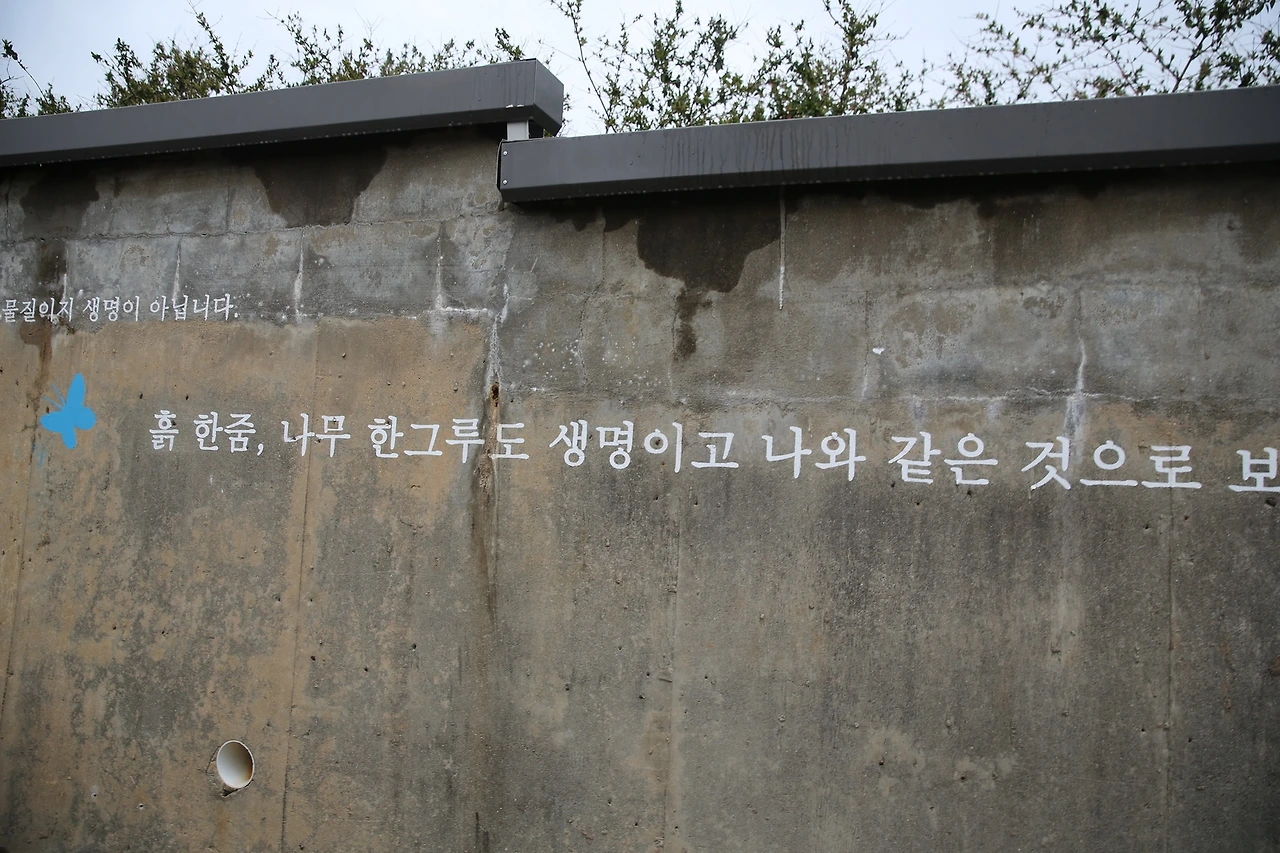 MG0A6491_новый размер.JPG