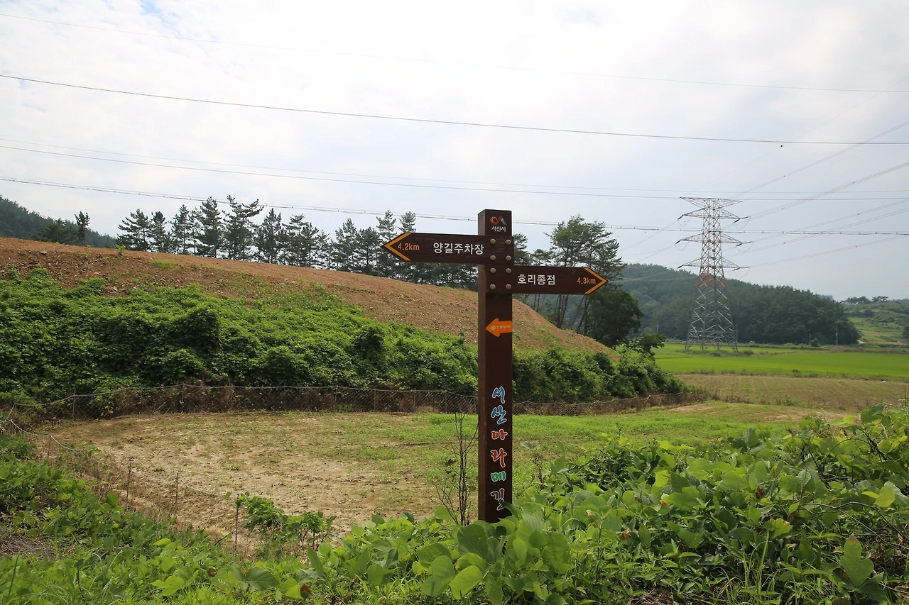 MG0A7012_новый размер.JPG