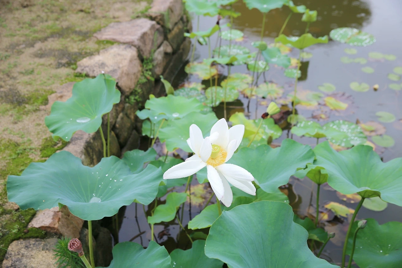 MG0A6078_новый размер_exposure.JPG